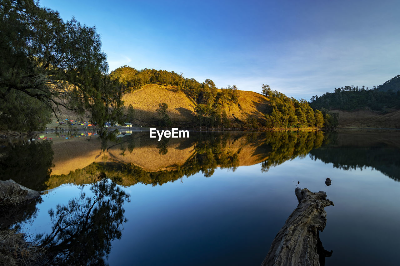 Scenic view of lake by trees against sky