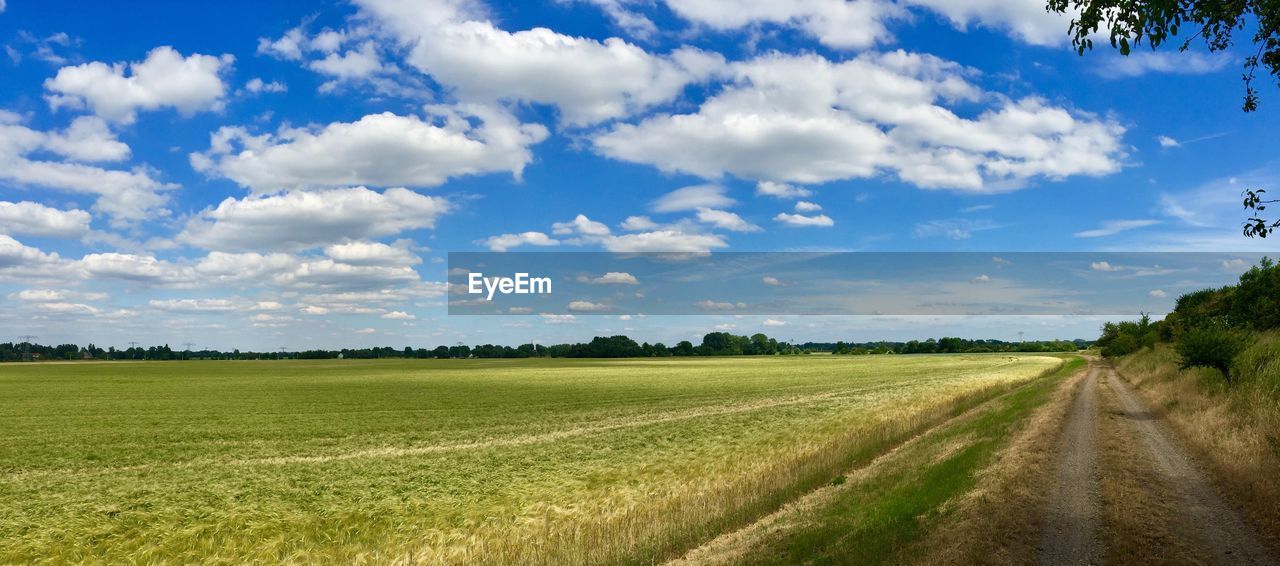 Scenic view of agricultural field against sky