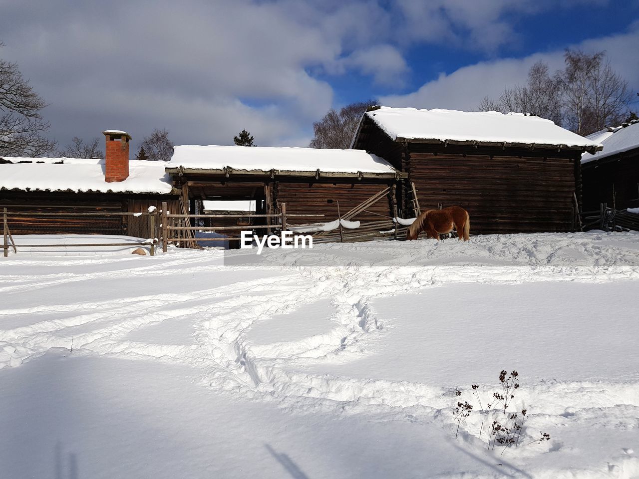 View of a horse on snow covered field near farmstead 