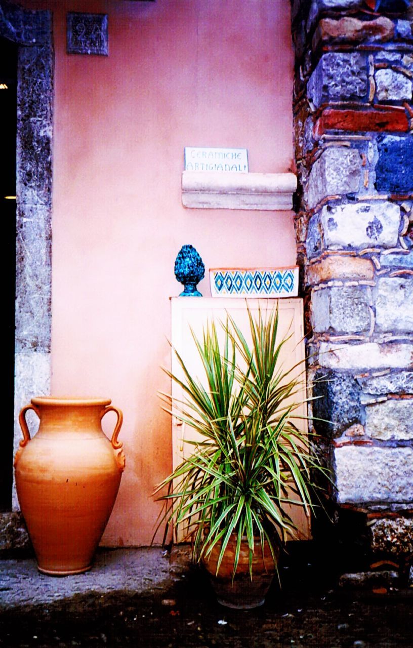 POTTED PLANTS ON WALL