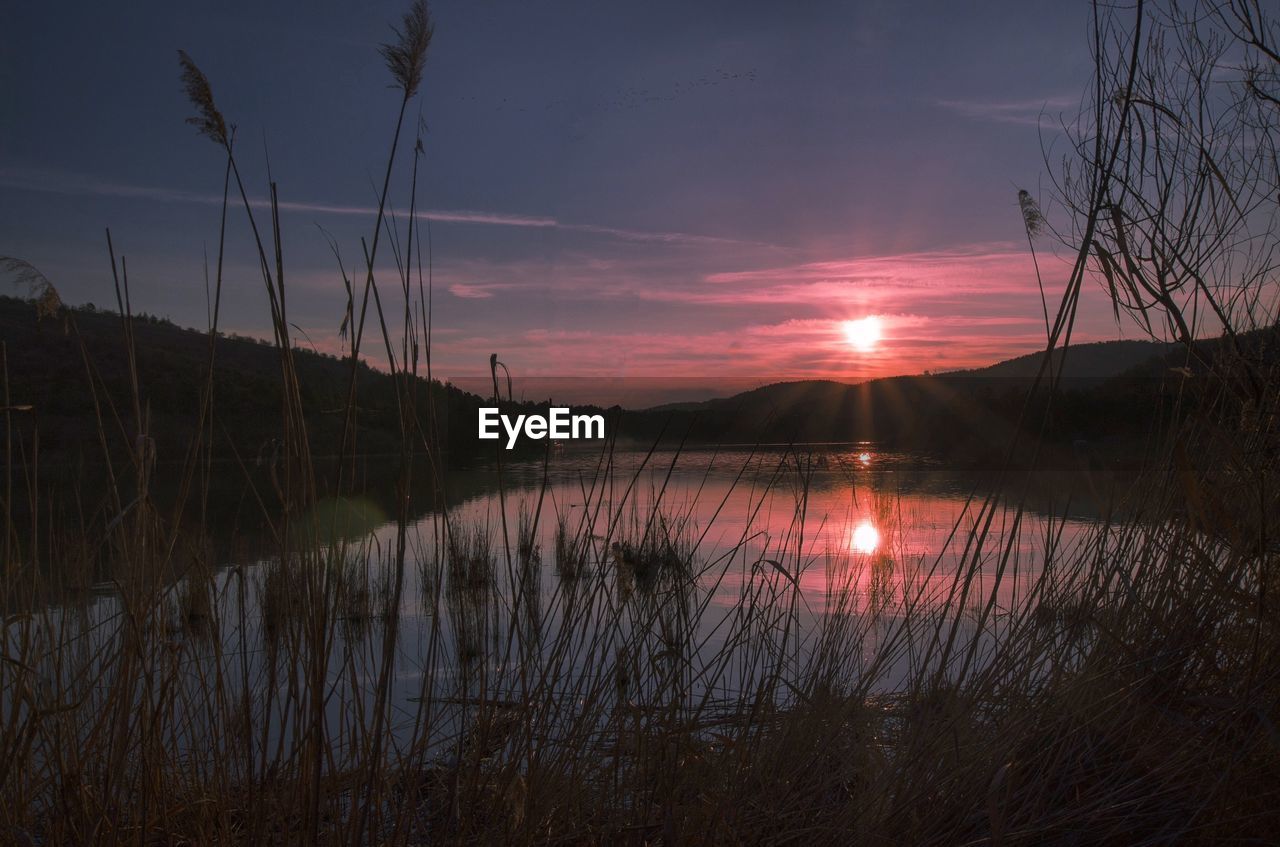 Scenic view of calm lake at sunset