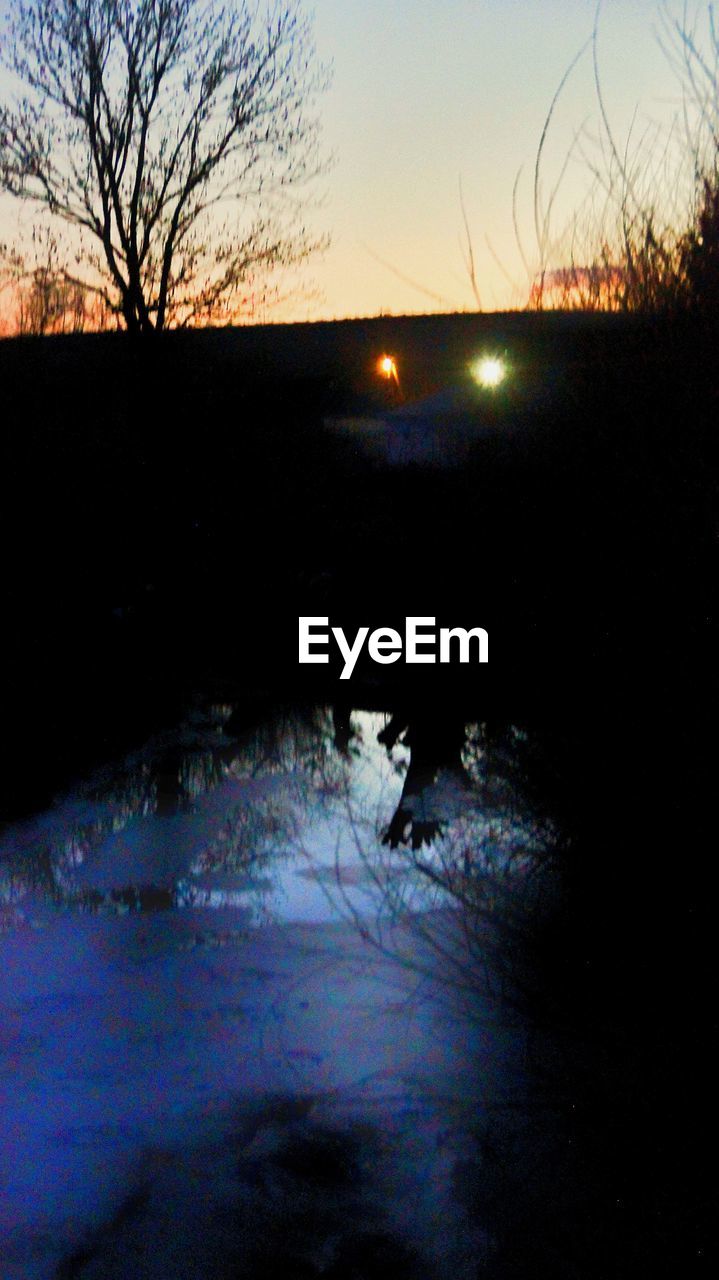 SILHOUETTE OF BARE TREES ON LAND AT SUNSET