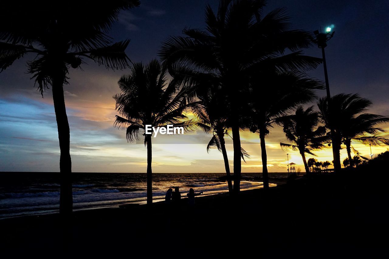 SILHOUETTE TREES ON BEACH AGAINST SKY DURING SUNSET