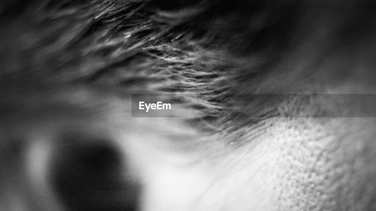 FULL FRAME SHOT OF BLACK