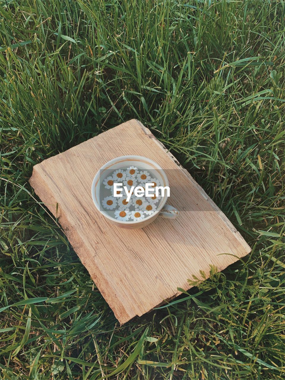 HIGH ANGLE VIEW OF BREAD ON FIELD