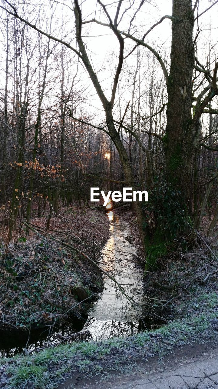 High angle view of stream flowing amidst bare trees on field