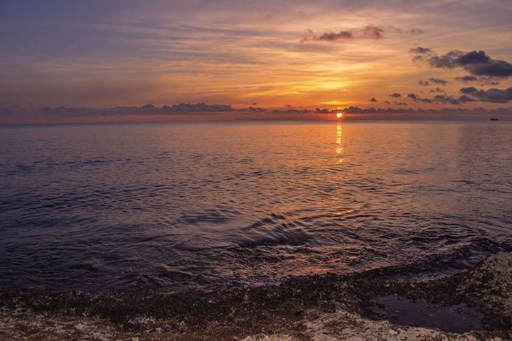 SCENIC VIEW OF SEA DURING SUNSET