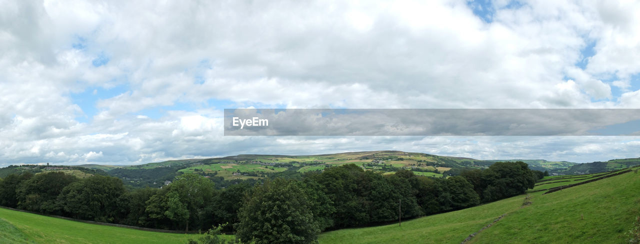 PANORAMIC VIEW OF TREES ON FIELD AGAINST SKY