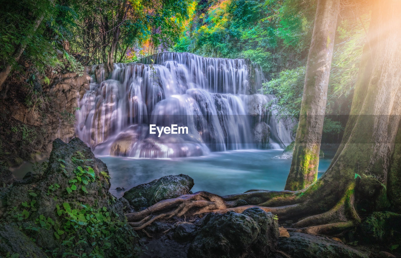 WATERFALL IN FOREST