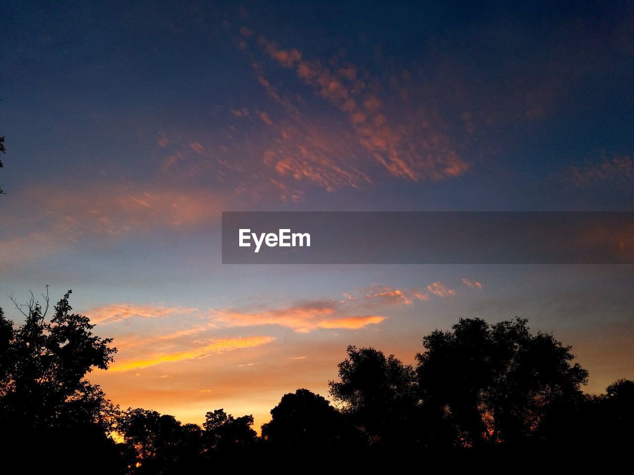 LOW ANGLE VIEW OF SILHOUETTE TREES AGAINST SUNSET SKY