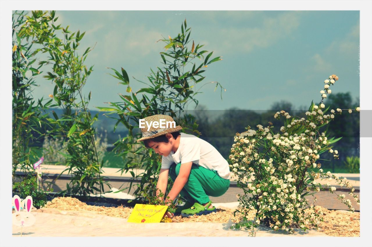 Cute boy playing amidst plants on field