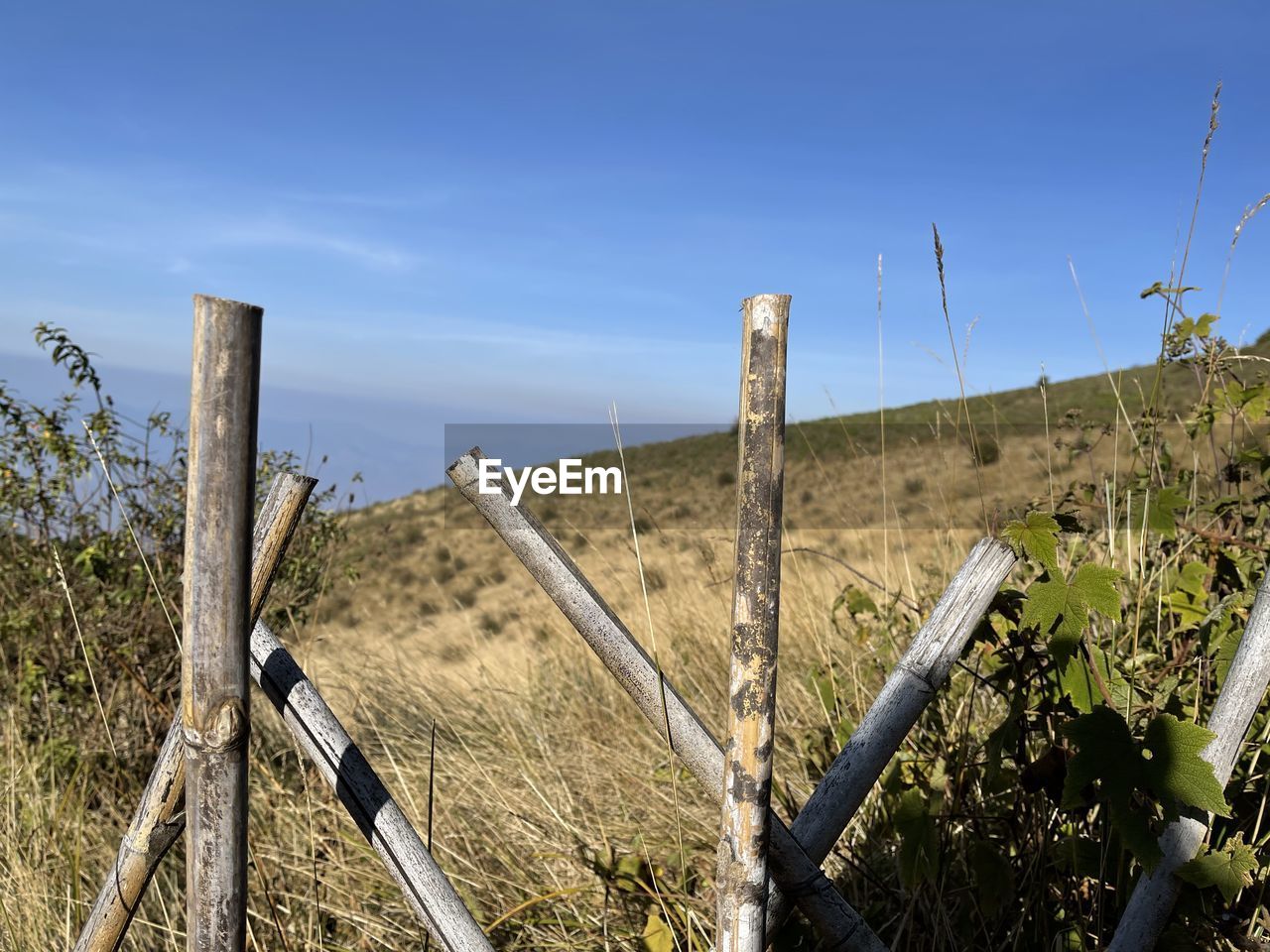 WOODEN FENCE ON FIELD BY PLANTS AGAINST SKY