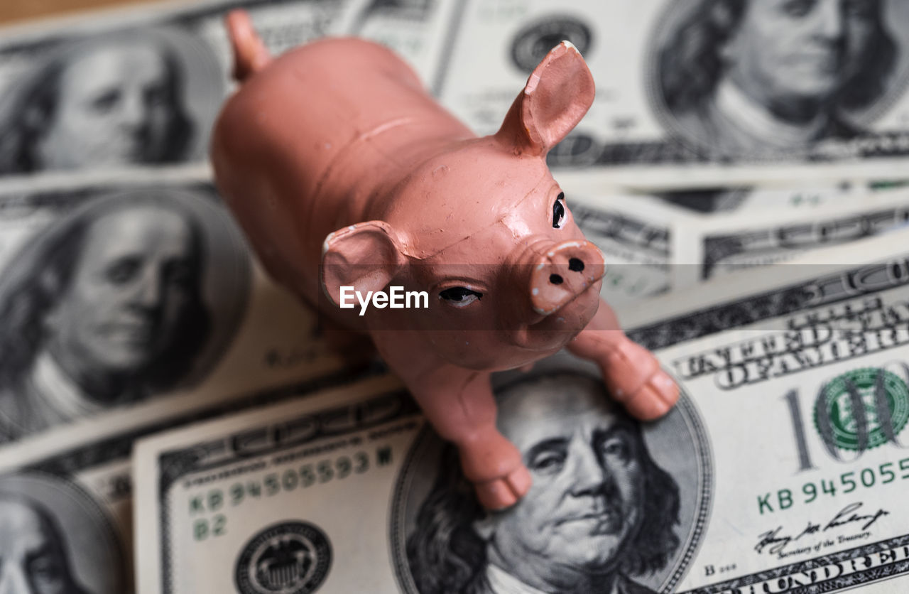 Ceramic pig on background of dollar bills, savings and investments concept