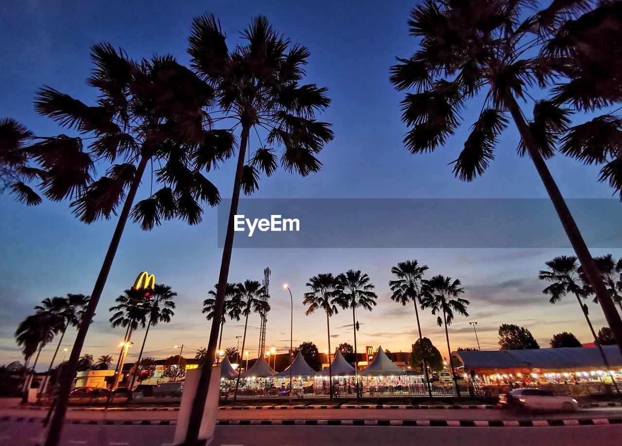 SILHOUETTE PALM TREES BY SWIMMING POOL AGAINST SKY