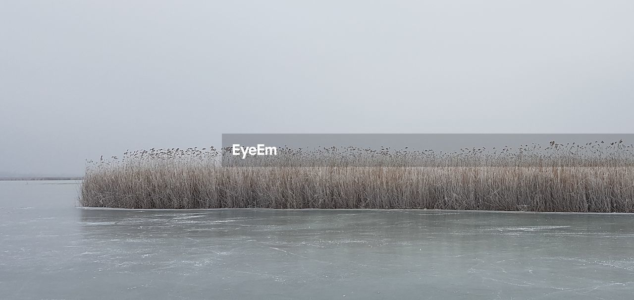 SNOW COVERED SHORE AGAINST CLEAR SKY