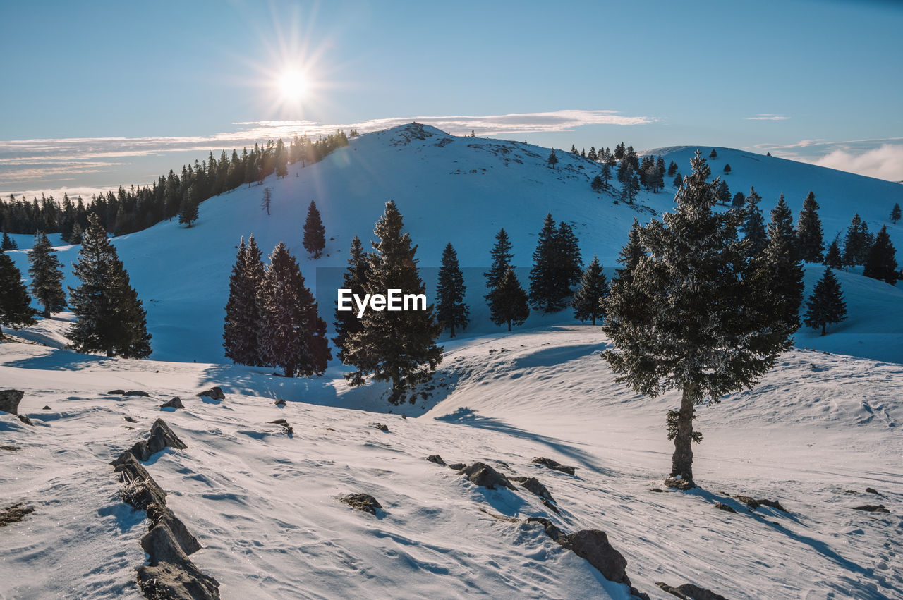 Winter landscape on velika planina