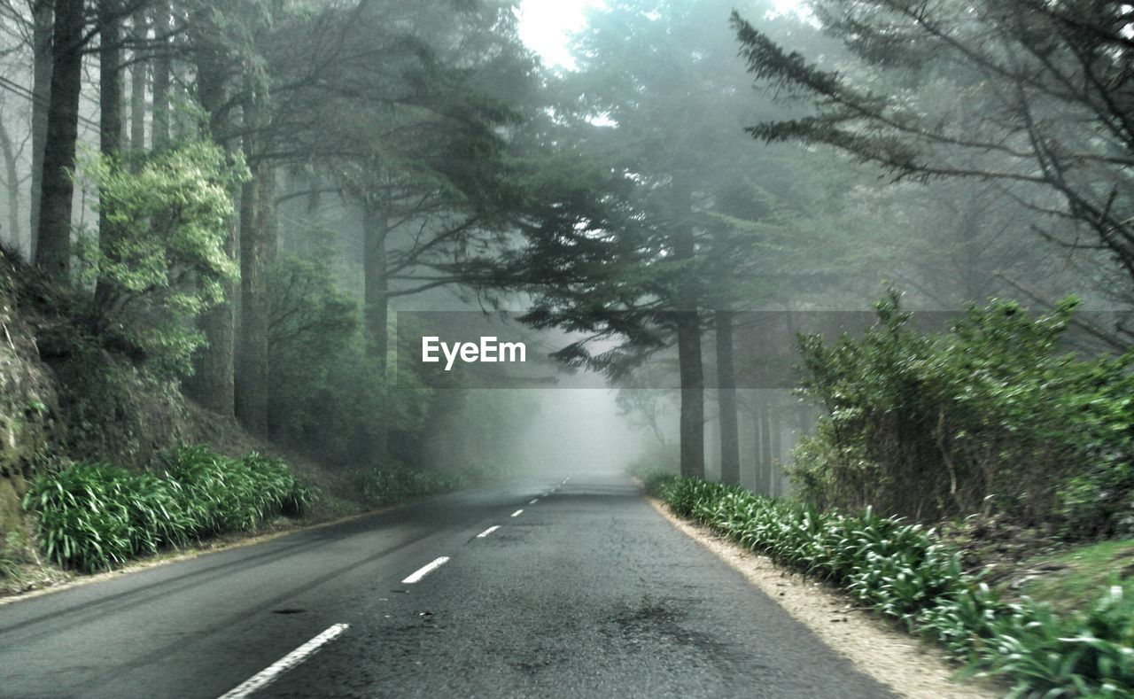 EMPTY ROAD AMIDST TREES AGAINST SKY