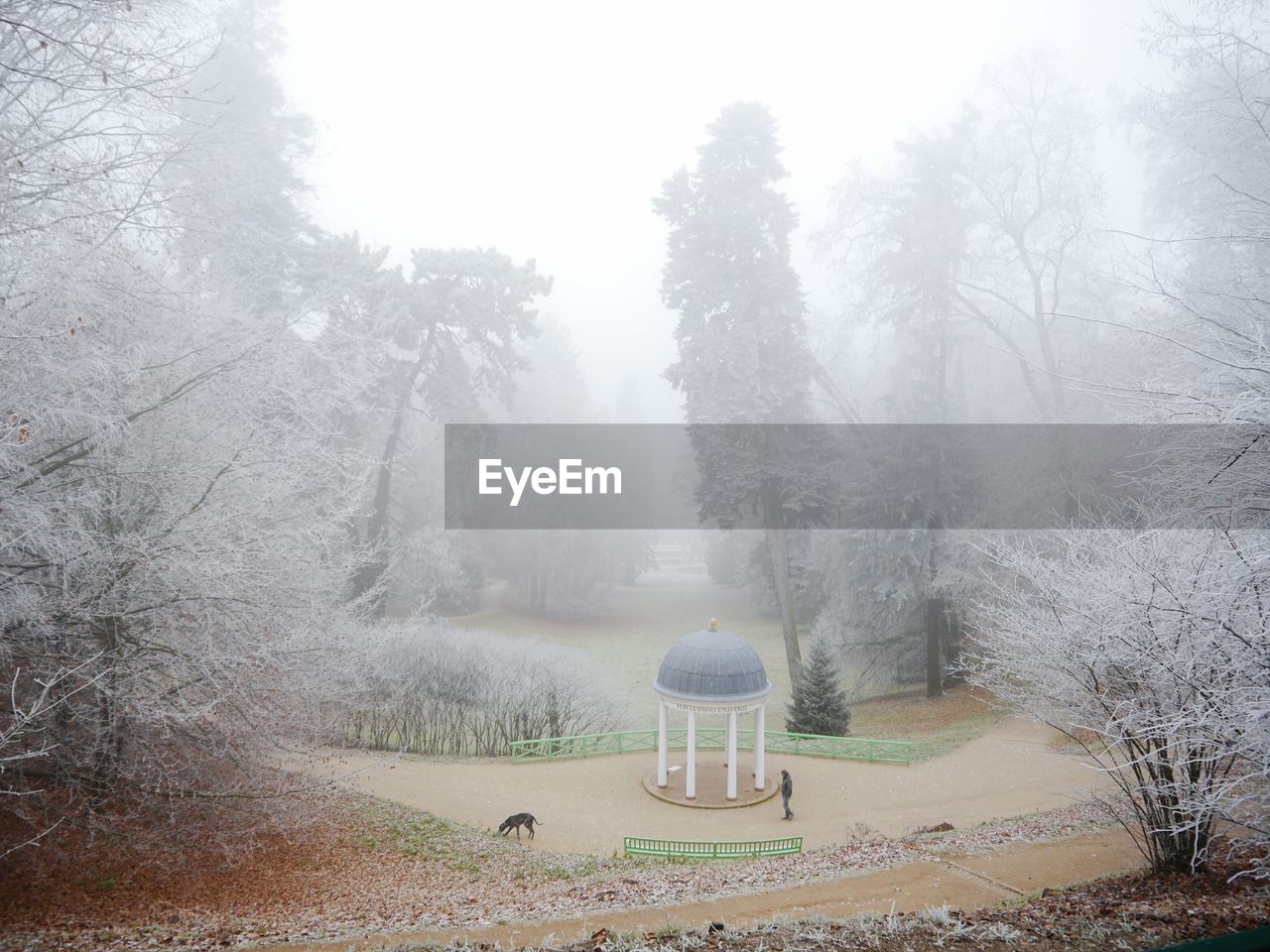 High angle view of person with dog by gazebo at park during foggy weather in winter