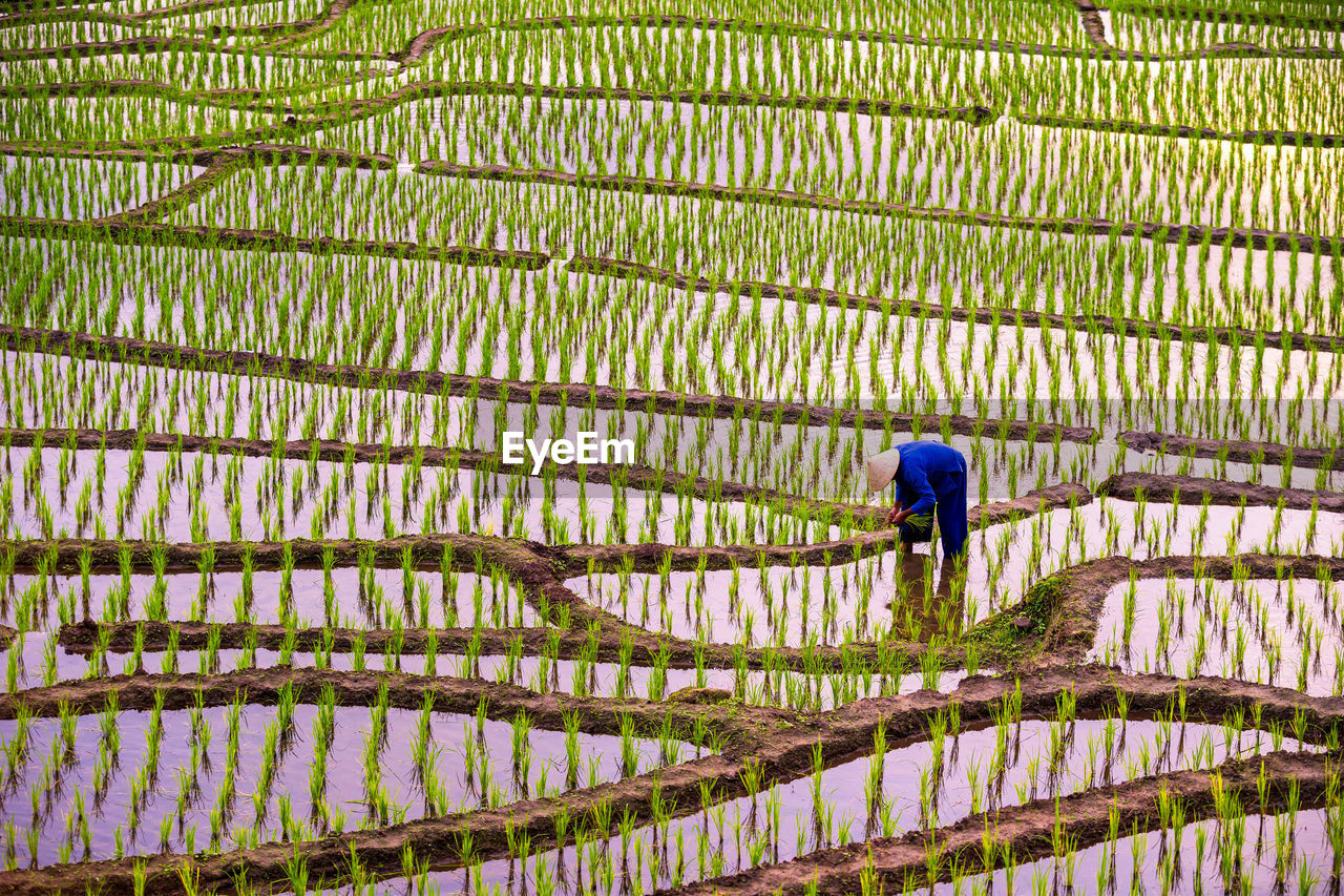 Man working on field