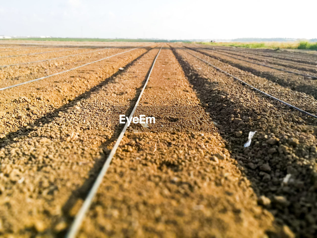 SURFACE LEVEL OF AGRICULTURAL FIELD