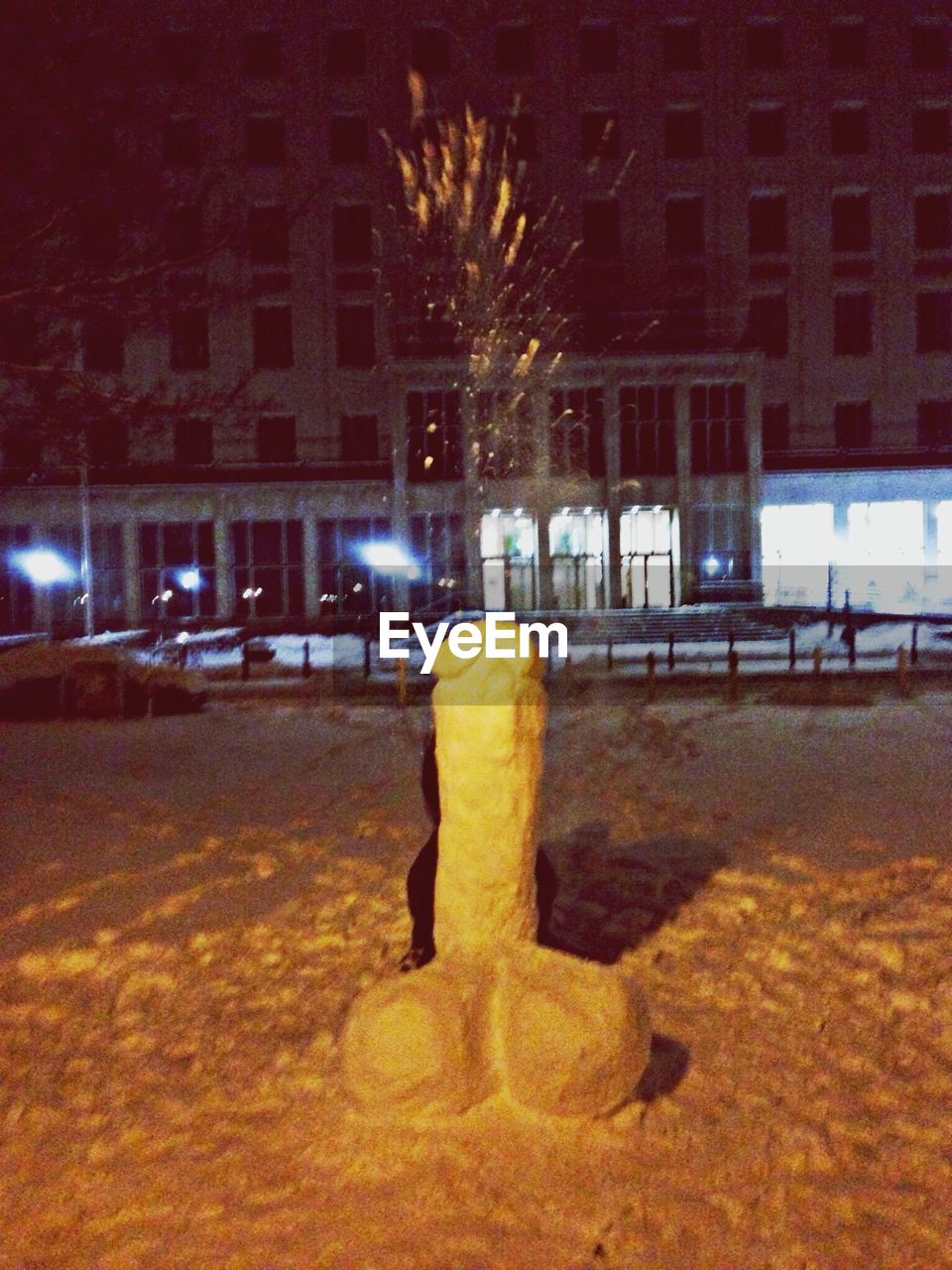 SCULPTURE IN SNOW