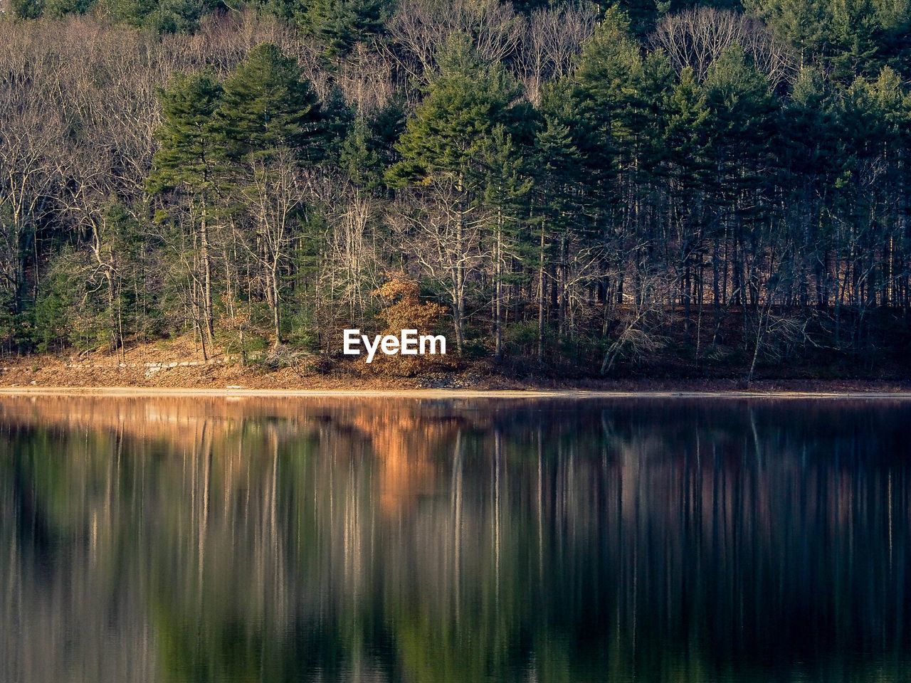 SCENIC VIEW OF LAKE