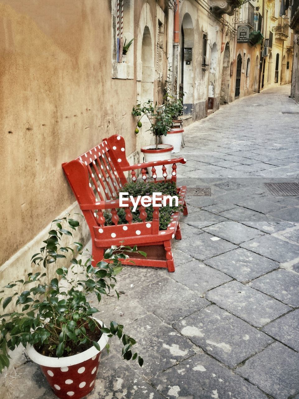 High angle view of plants growing on bench at street