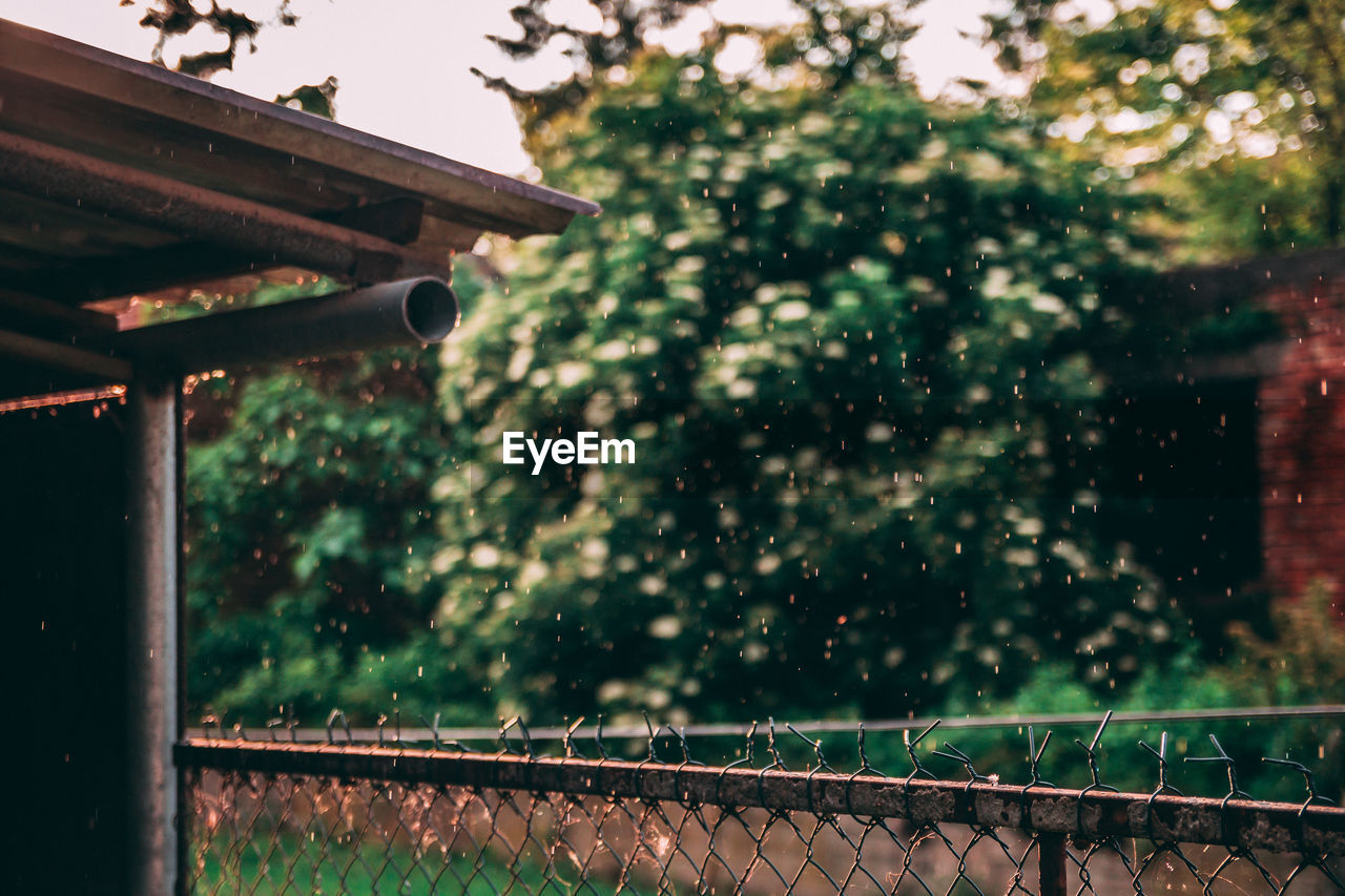 WATER DROPS ON RAILING AGAINST TREES