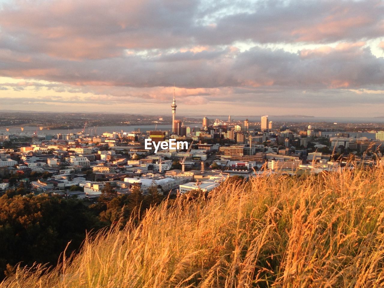 High angle view of auckland townscape against sky during sunset