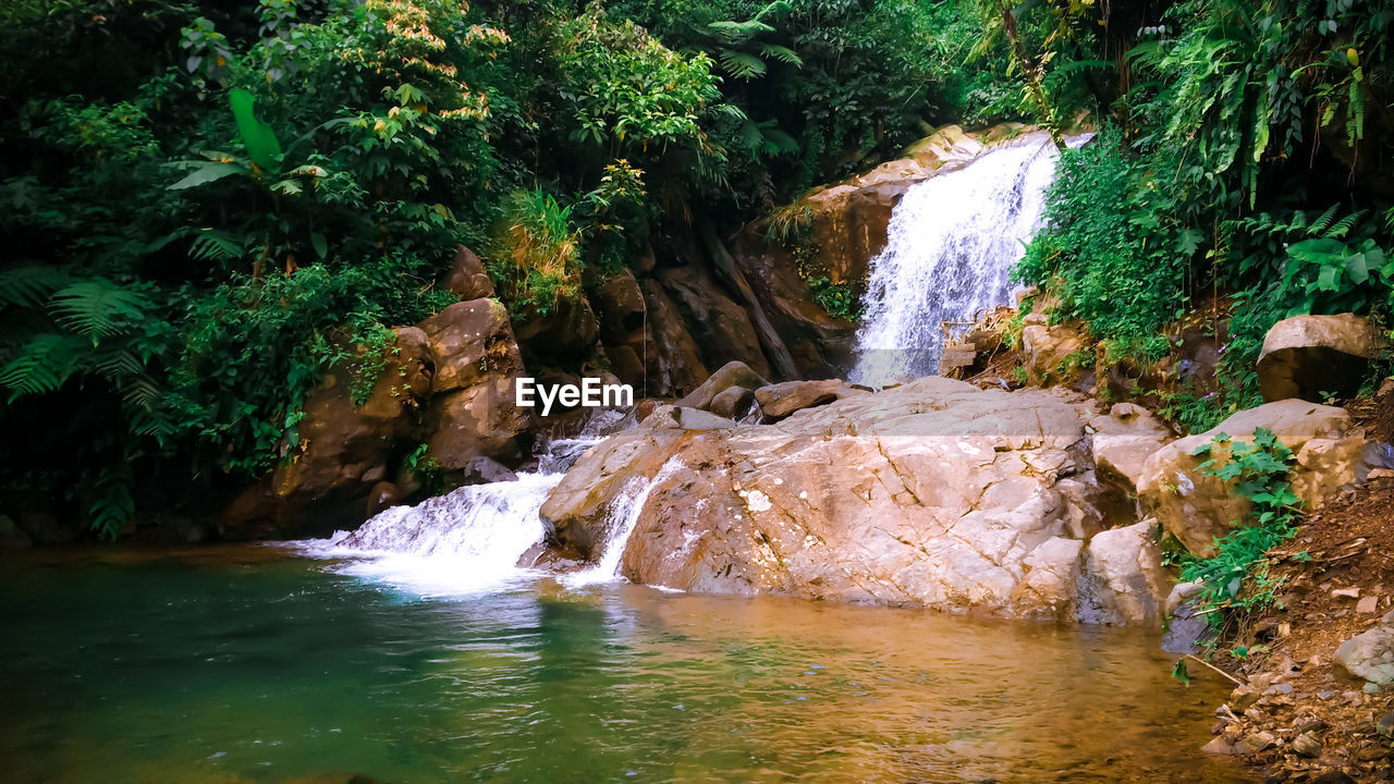 RIVER FLOWING THROUGH ROCKS IN FOREST