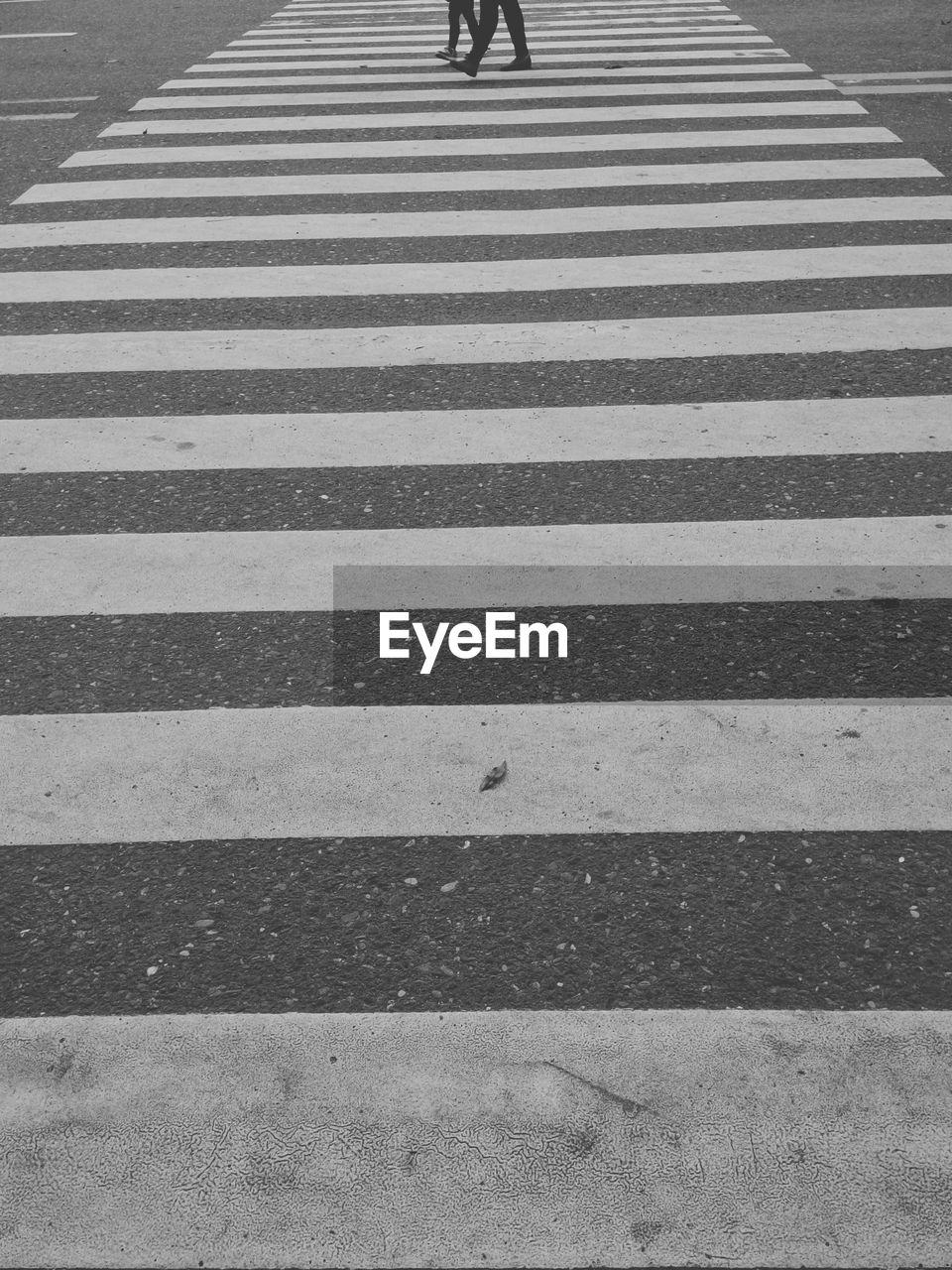 Low section of people walking on zebra crossing 