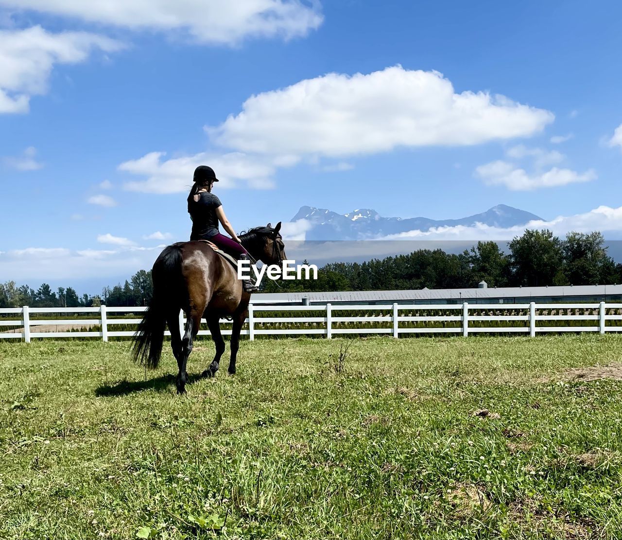 Lone horse ridden in field against blue sky