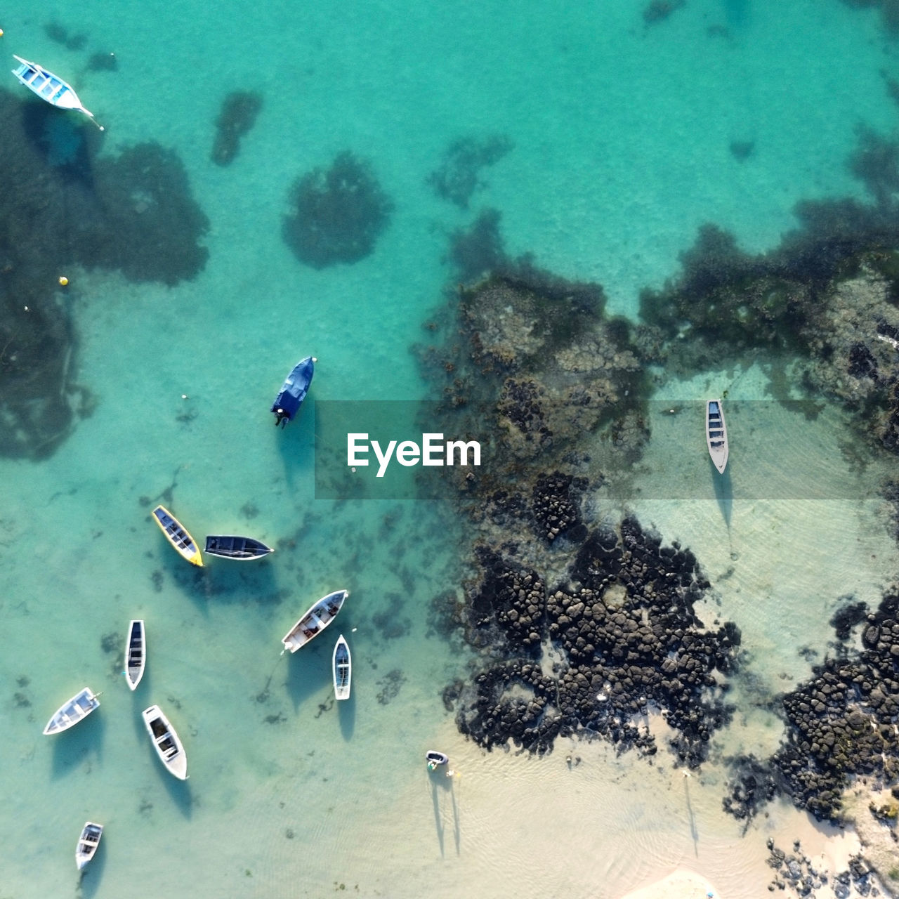 high angle view of people swimming in sea