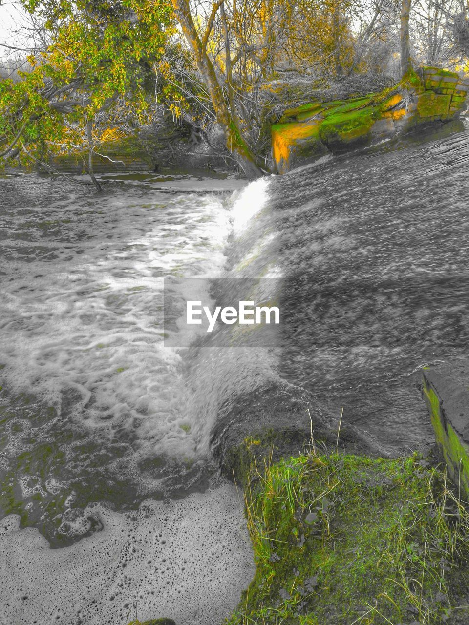 SCENIC VIEW OF WATER FLOWING THROUGH FOREST