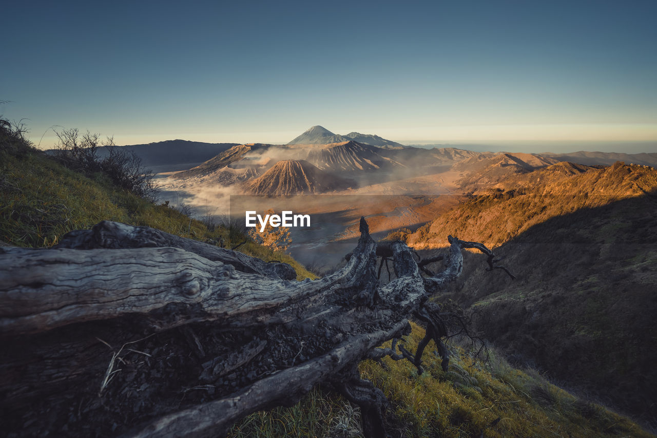 Fallen tree trunk on mountain against sky