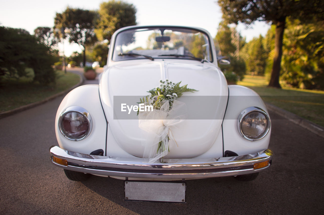 CLOSE-UP OF VINTAGE CAR ON ROAD AGAINST TREES