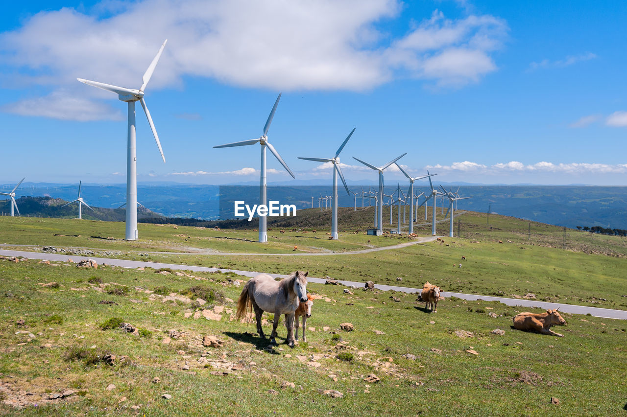 WIND TURBINES ON FIELD