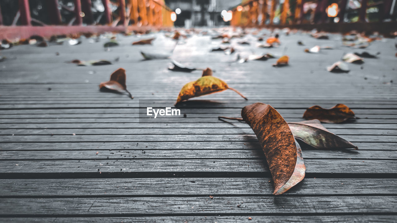 AUTUMN LEAVES ON TABLE