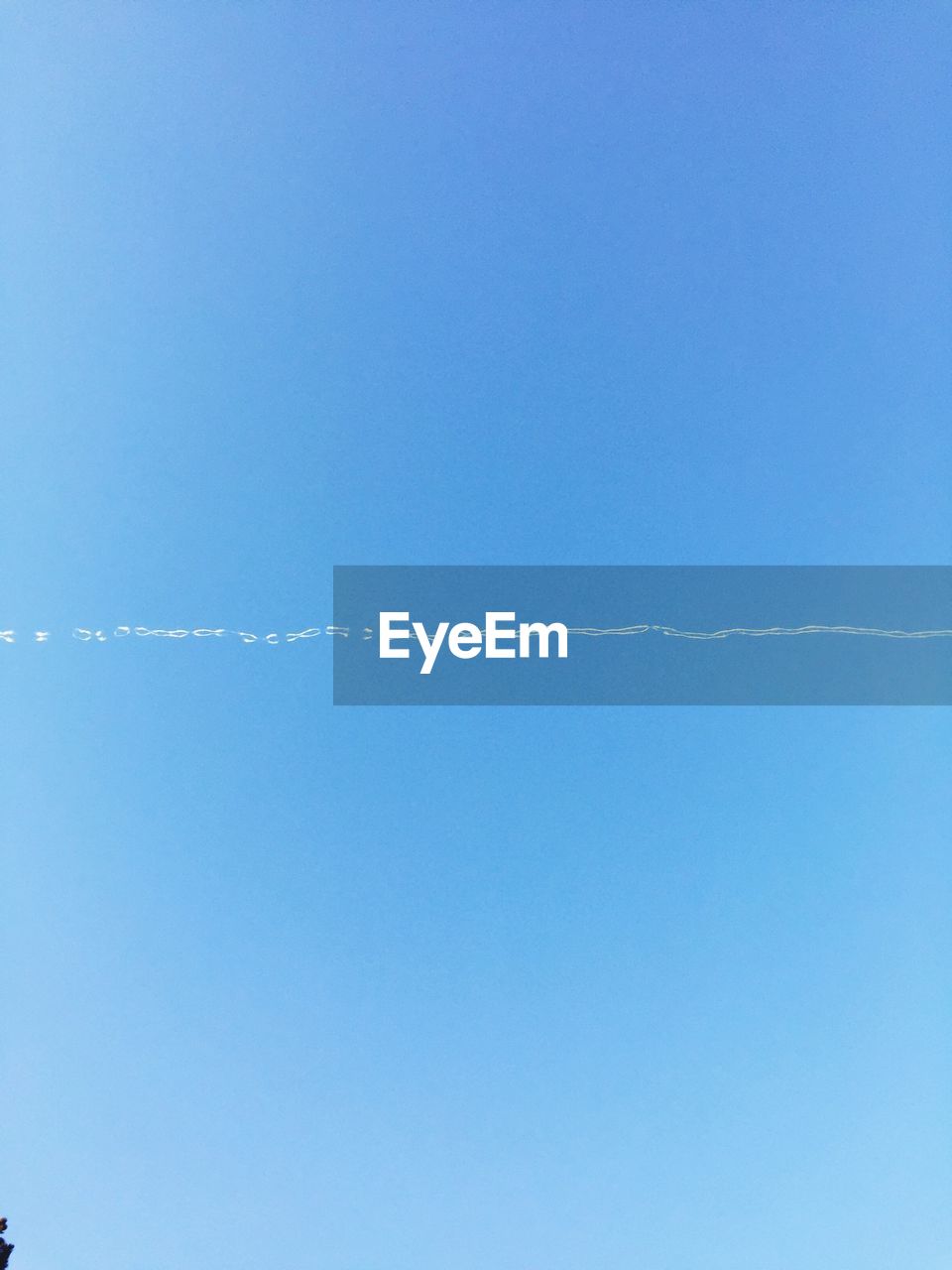 LOW ANGLE VIEW OF TREES AGAINST CLEAR BLUE SKY