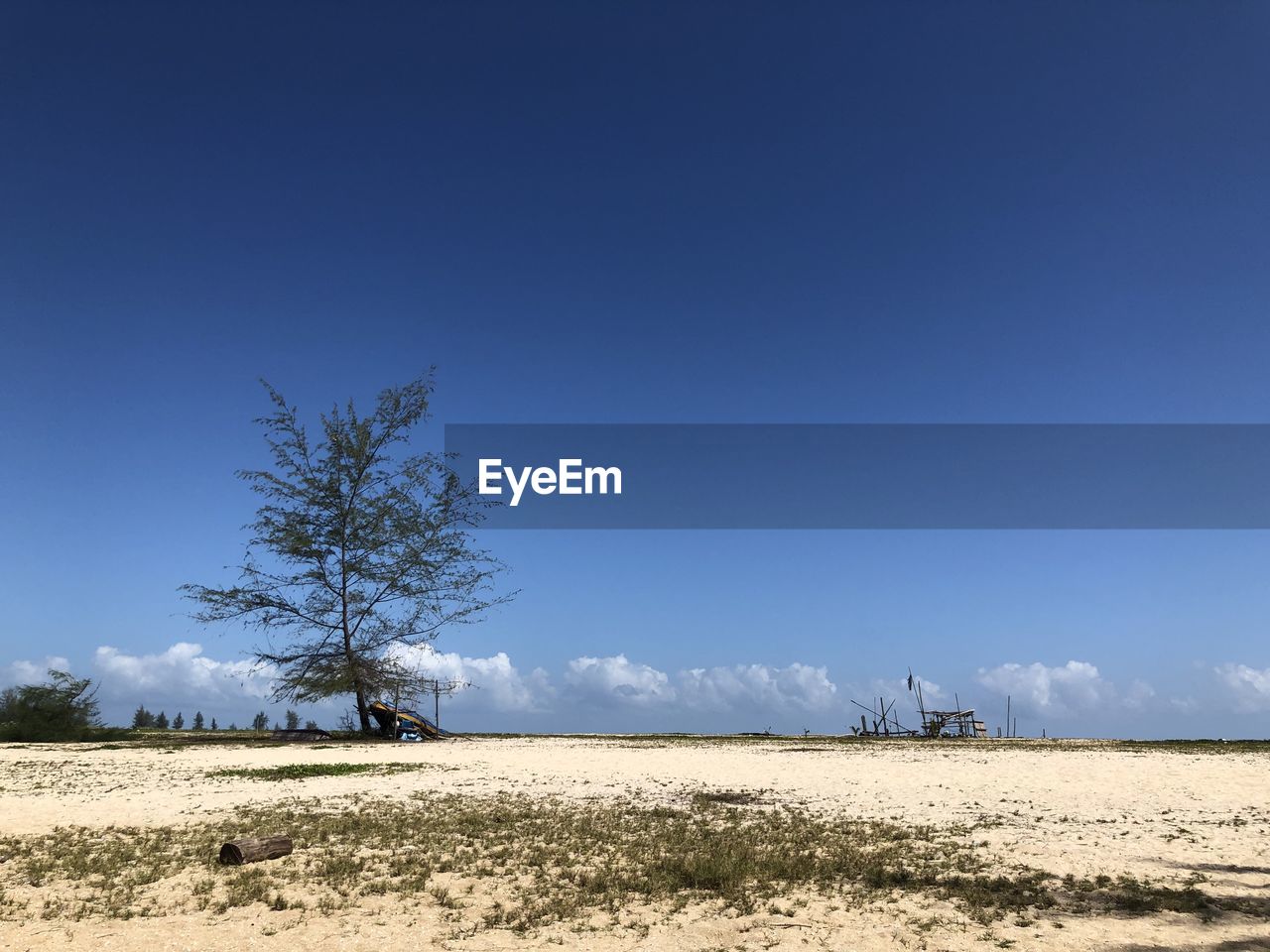 Scenic view of field against clear blue sky