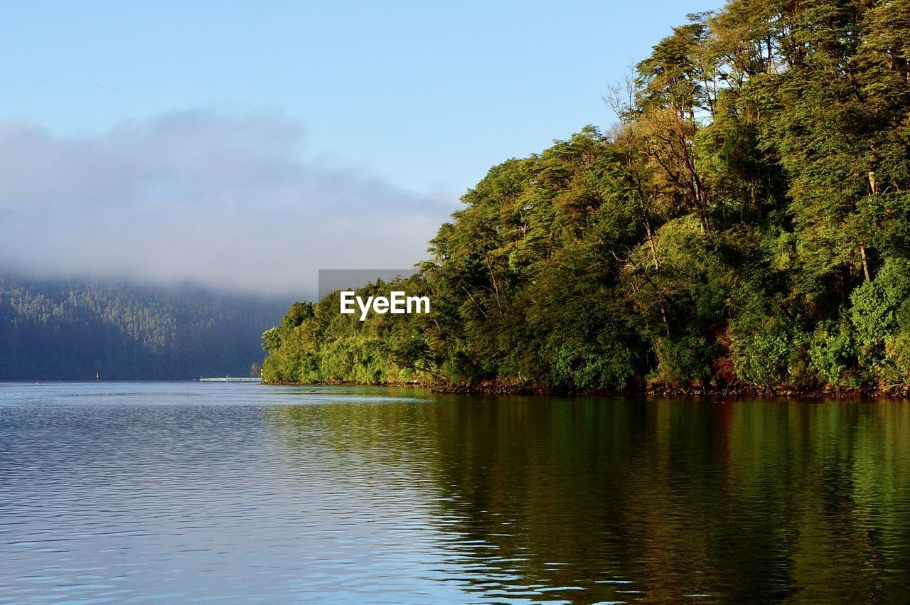 Scenic view of lake by trees against sky