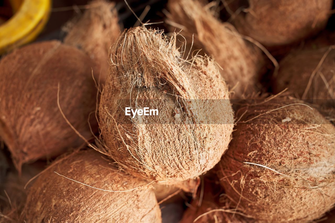 Raw coconut still life