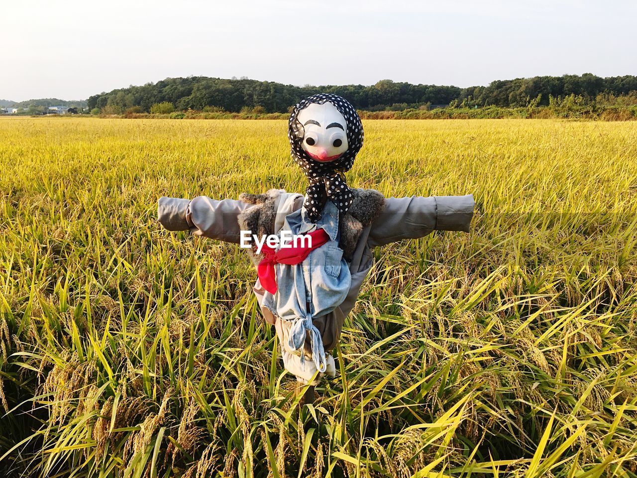 Scarecrow on field against sky