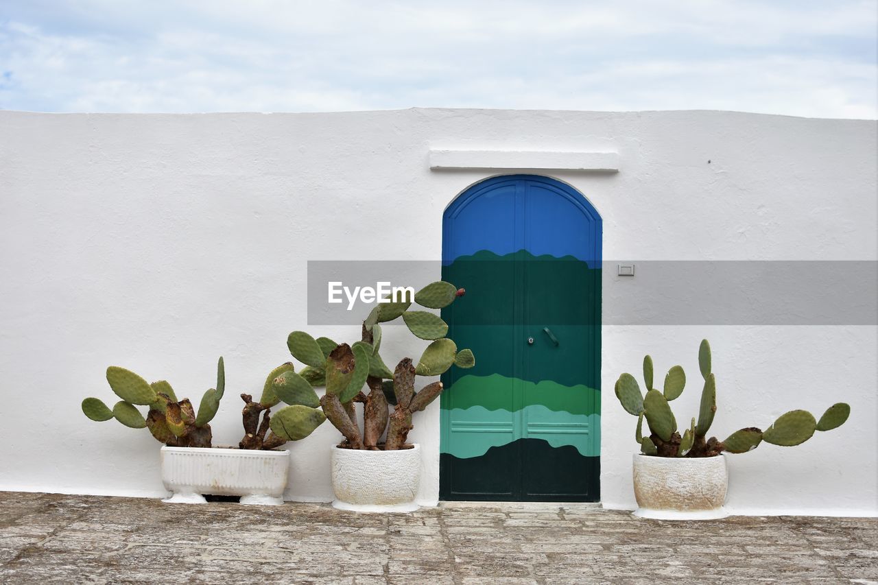 POTTED PLANTS ON WINDOW AGAINST SKY