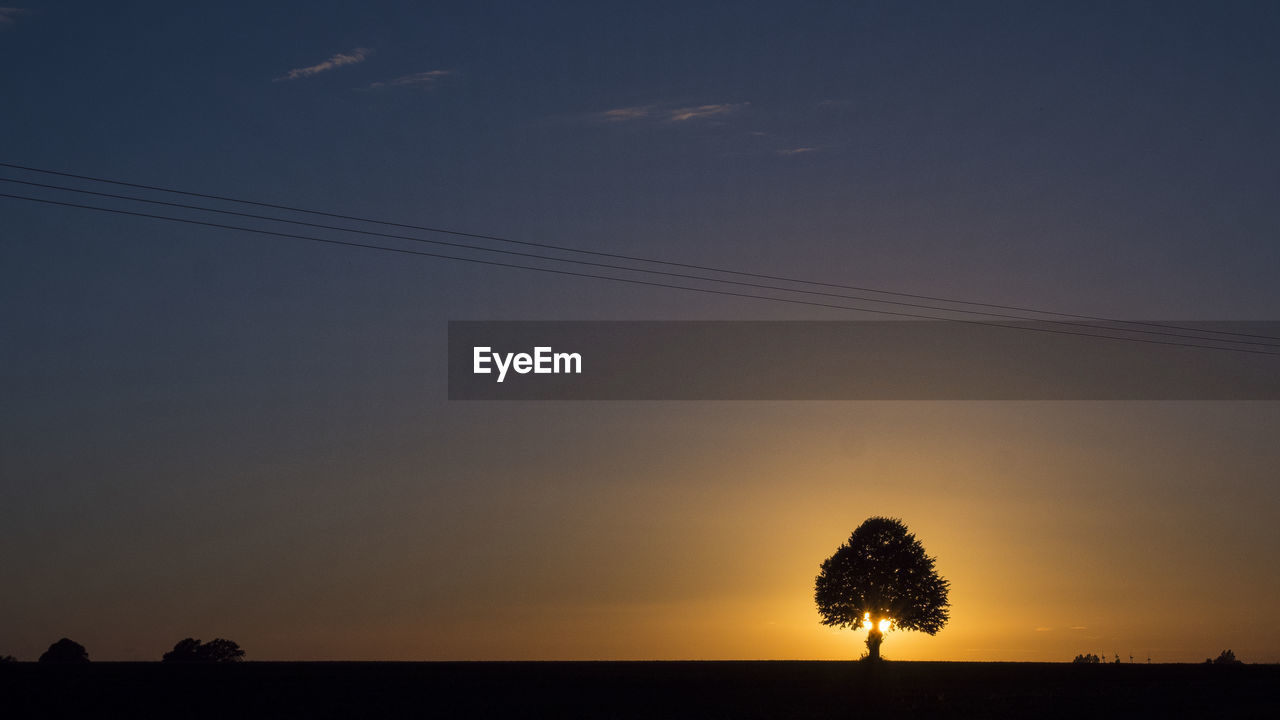 Silhouette trees against sky during sunset
