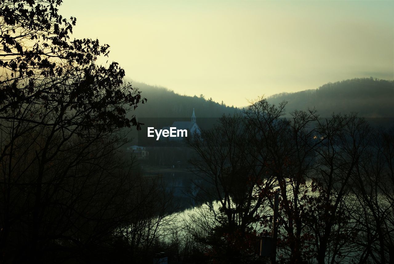 View of bare trees against scenic background