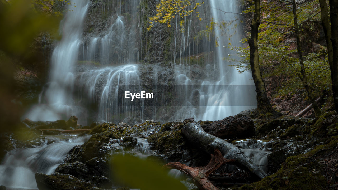 Scenic view of waterfall in forest