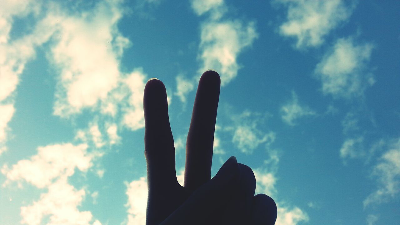 Close-up of silhouette hand against sky