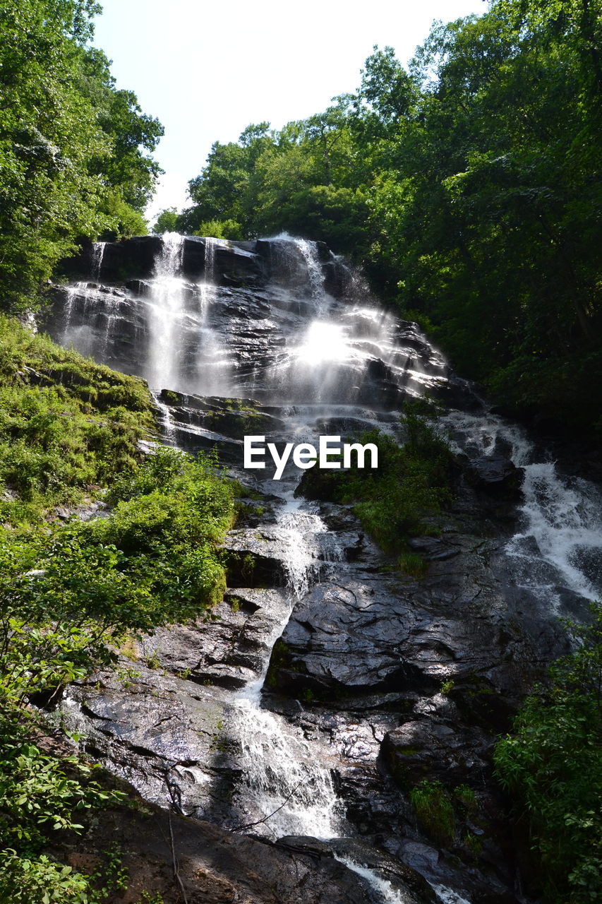 SCENIC VIEW OF WATERFALL AGAINST TREES