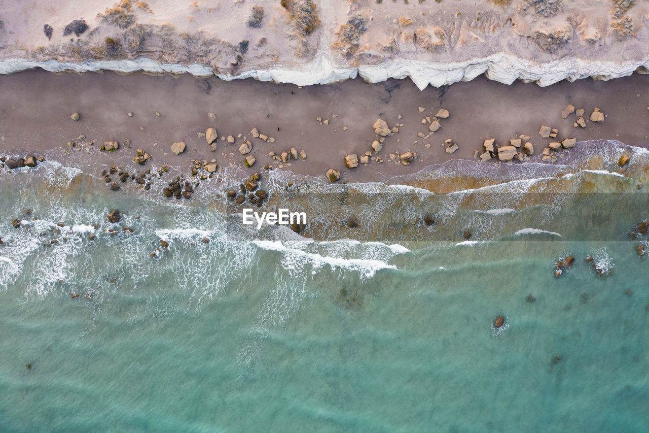 water, sea, no people, nature, animal, wildlife, animal wildlife, animal themes, day, land, group of animals, beach, outdoors, wave, beauty in nature, large group of animals